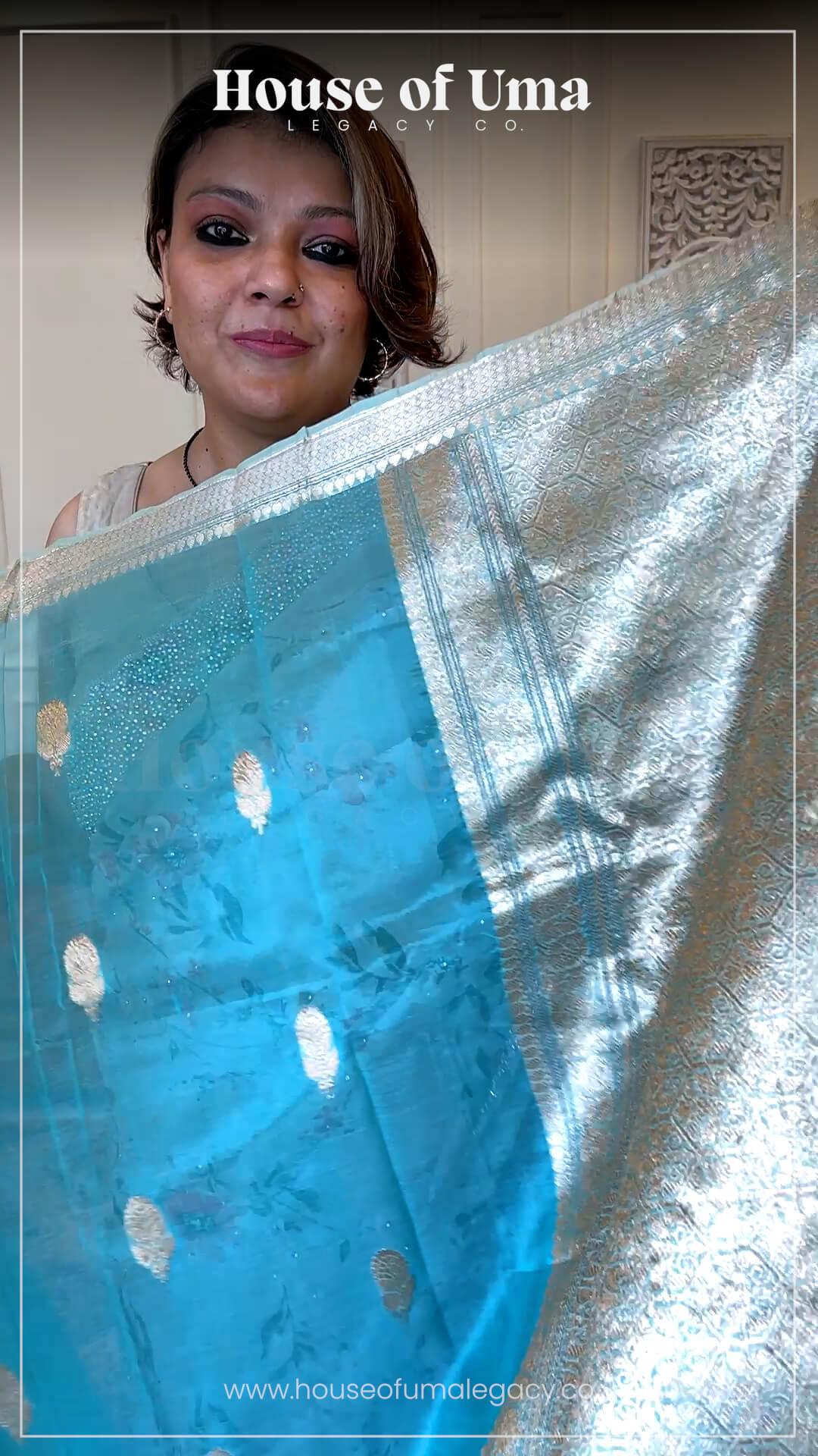 Handloom Kora banarasi saree in Sky Blue 2 - Sky Blue kora saree